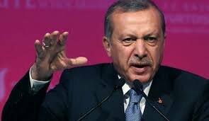 تحقیقات درباره مجری مشهور در ترکیه پس از انتقاد اردوغان از او