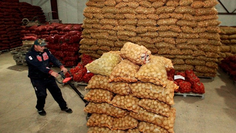 کاهش 28 درصدی صادرات محصولات کشاورزی تاجیکستان